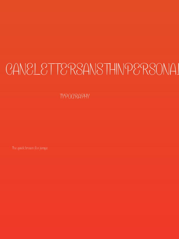 CaneletterSansThinPersonal Poster