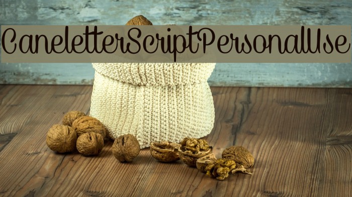 CaneletterScriptPersonalUse Example 1