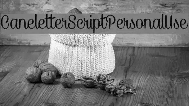 CaneletterScriptPersonalUse Font examples