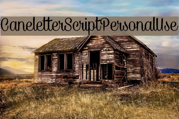 CaneletterScriptPersonalUse Example 2