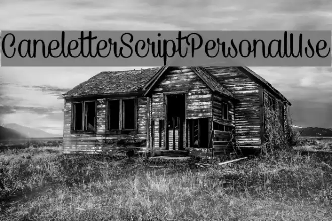 CaneletterScriptPersonalUse Font examples
