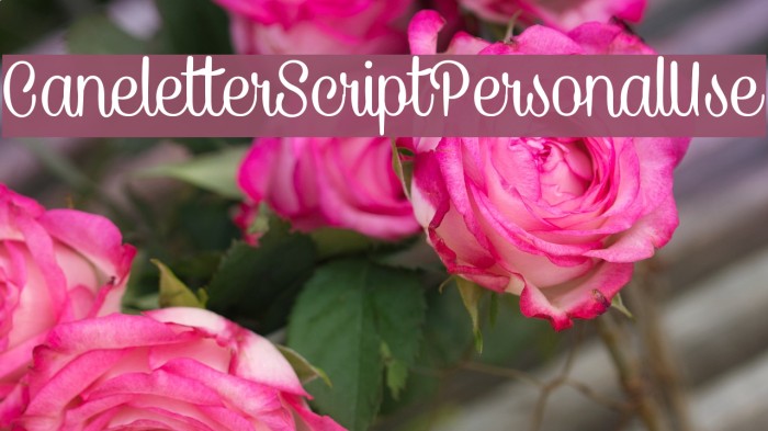 CaneletterScriptPersonalUse Example 3