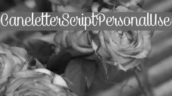 CaneletterScriptPersonalUse Font examples