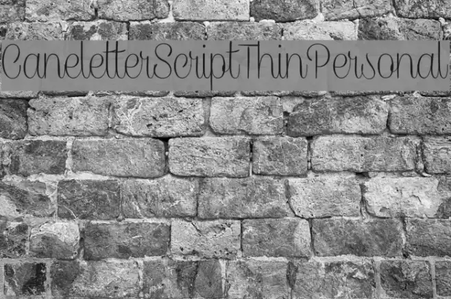 CaneletterScriptThinPersonal Font examples
