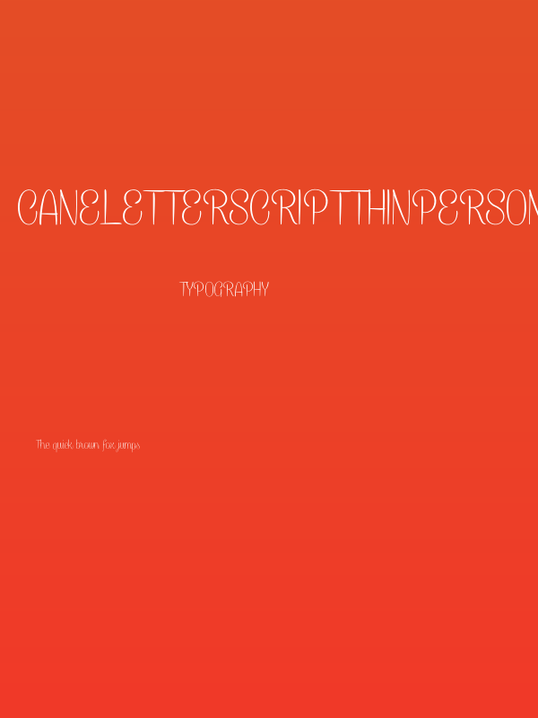 CaneletterScriptThinPersonal Poster