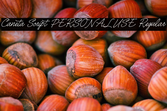 Caneta Script PERSONAL USE Regular Example 2