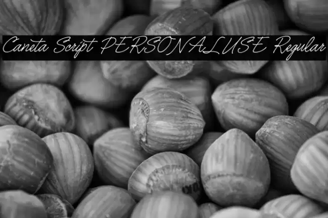 Caneta Script PERSONAL USE Regular Font examples