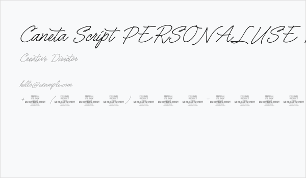 Caneta Script PERSONAL USE Regular Business Card