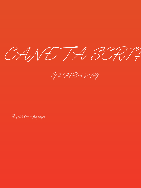 Caneta Script PERSONAL USE Regular Poster