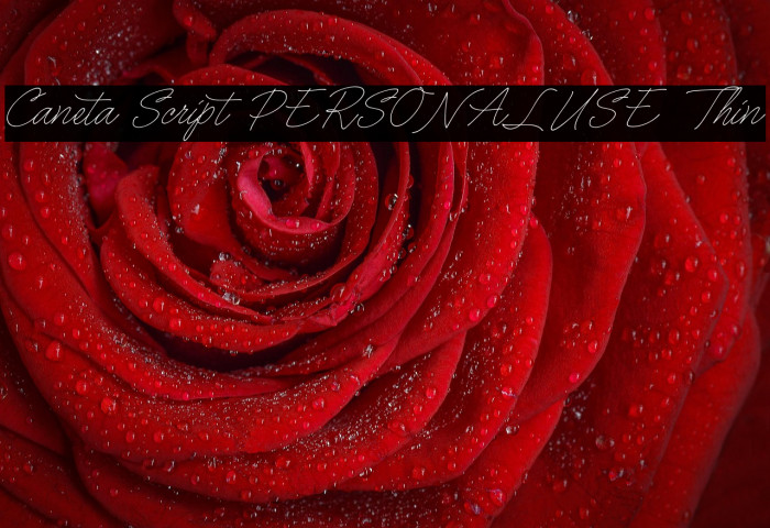 Caneta Script PERSONAL USE Thin Example 1
