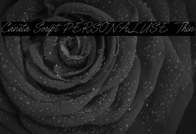 Caneta Script PERSONAL USE Thin Font examples