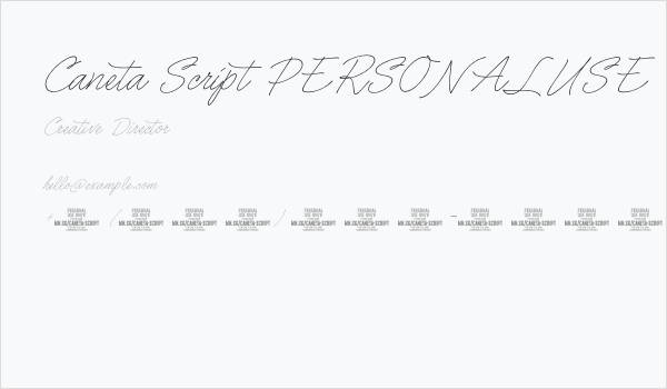 Caneta Script PERSONAL USE Thin Business Card