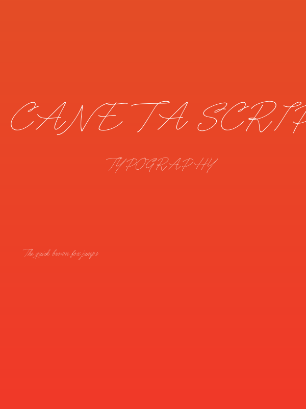 Caneta Script PERSONAL USE Thin Poster