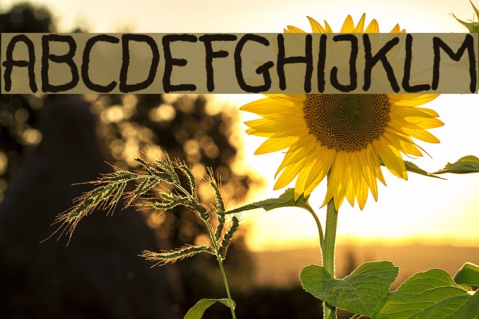 Canfuguh Font Font examples