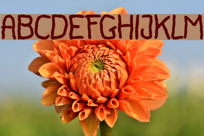 Canfuguh Font Font examples