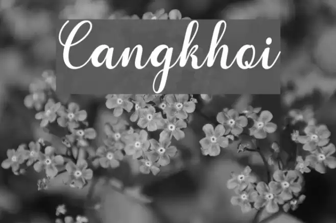 Cangkhoi Font examples
