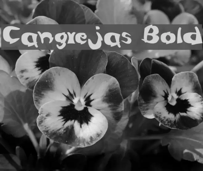 Cangrejas Bold Font examples