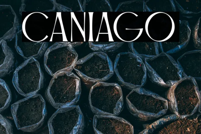 Caniago Example 1