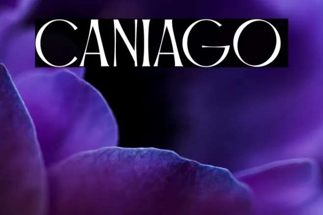 Caniago Example 2