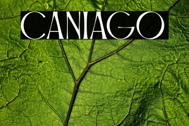 Caniago Example 3