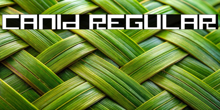 Canid Regular Example 2