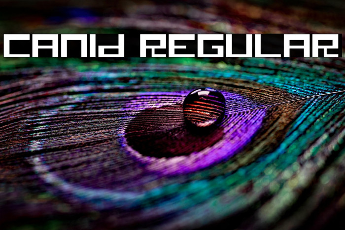 Canid Regular Example 3