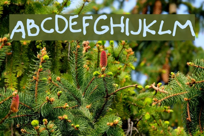 Canidae Hand Font examples