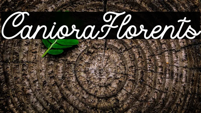Caniora Florents Example 1