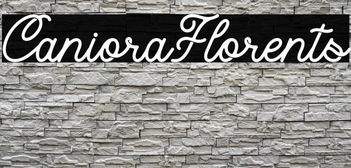 Caniora Florents Example 2