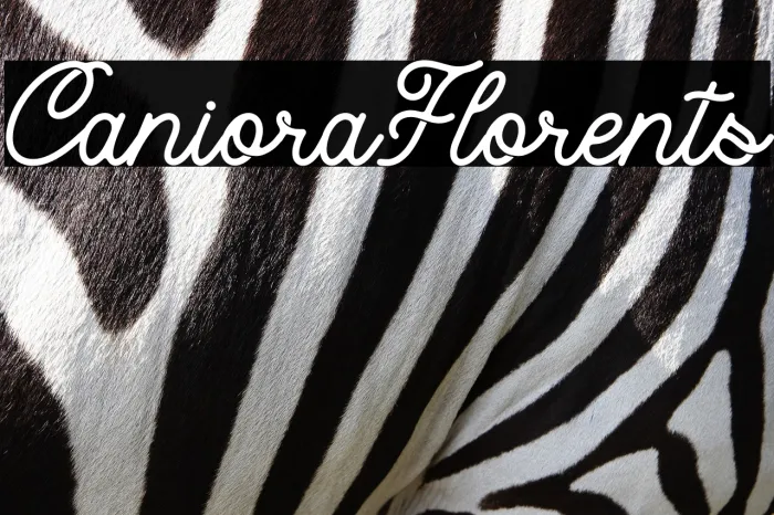 Caniora Florents Example 3
