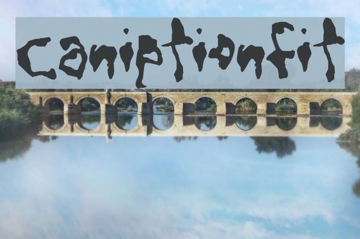 CaniptionFit Font examples