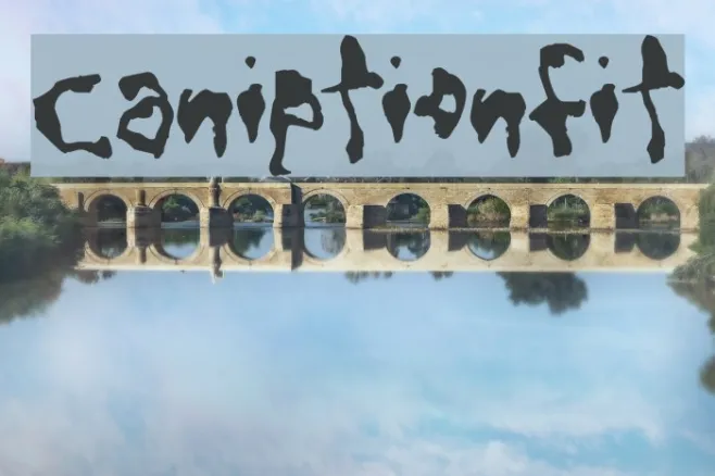 CaniptionFit Example 1