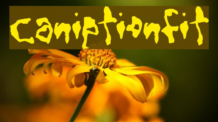 CaniptionFit Font examples