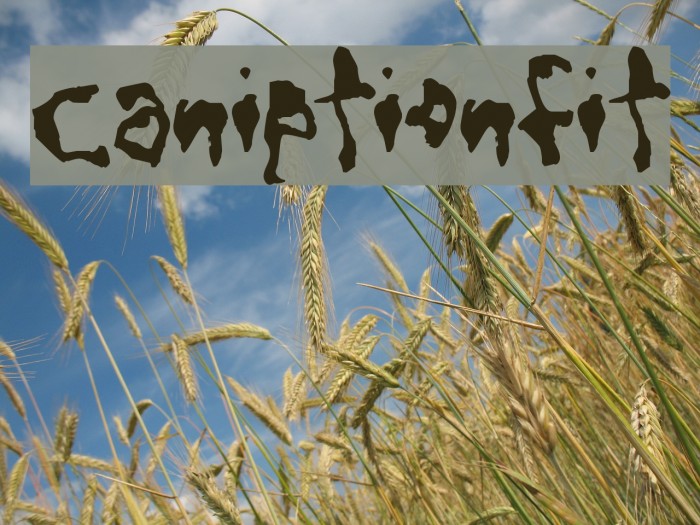 CaniptionFit Font examples