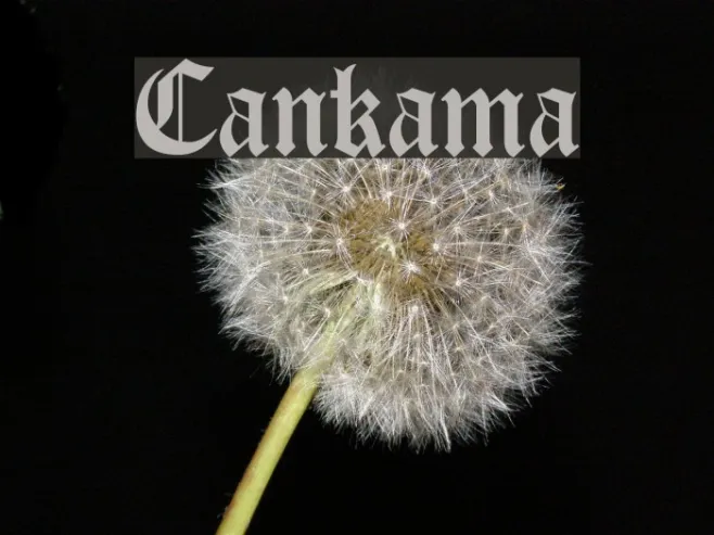Cankama Example 1