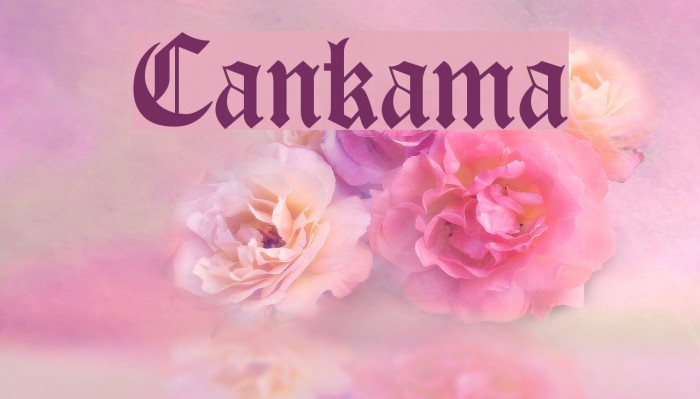 Cankama Font examples