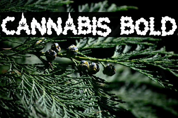 Cannabis Bold Example 1