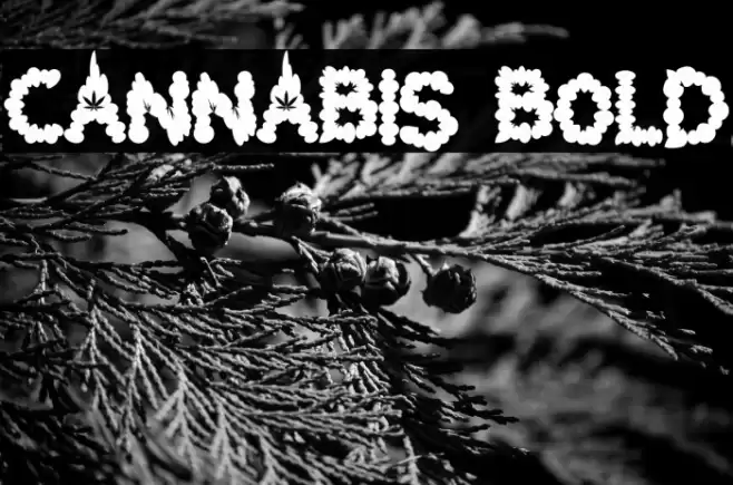 Cannabis Bold Font examples