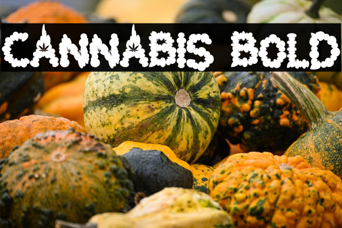 Cannabis Bold Example 2