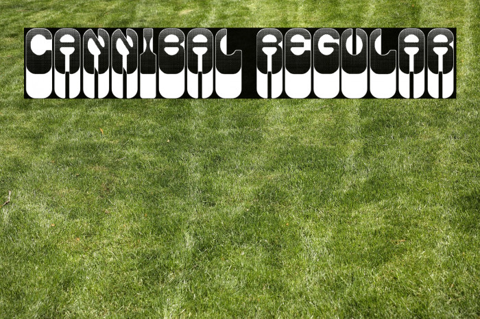 Cannibal Regular Example 1