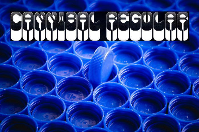 Cannibal Regular Example 3