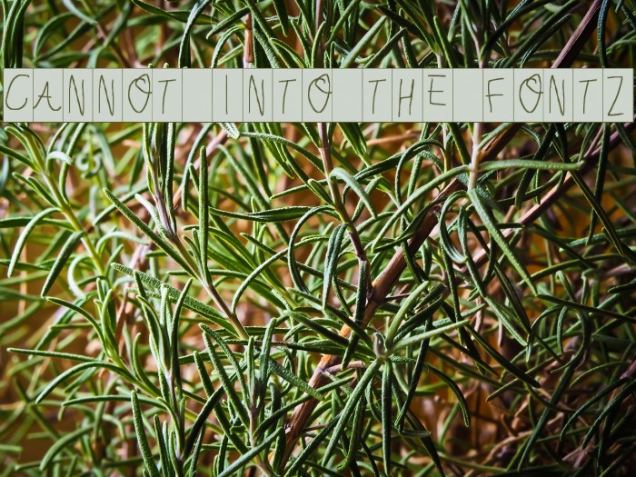 Cannot Into the Fontz Font examples