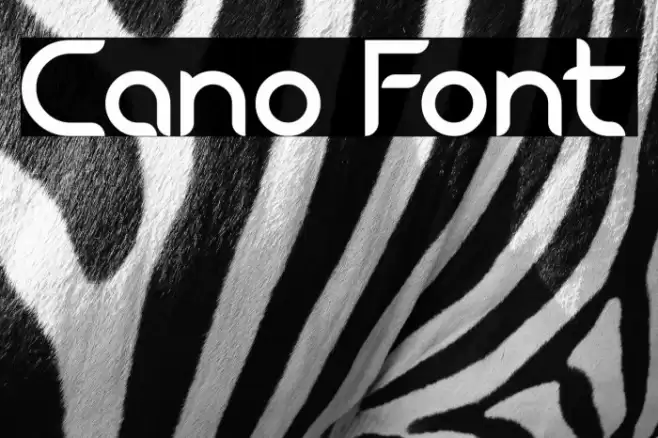 Cano Font examples