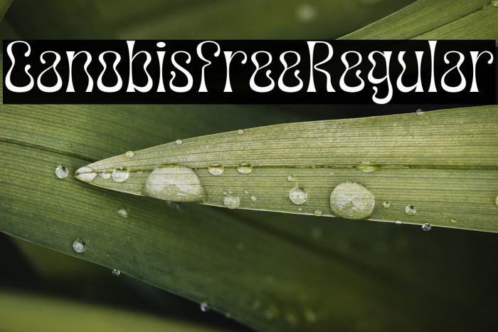 CanobisFree-Regular Example 3