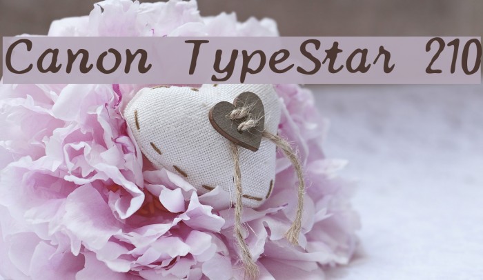 Canon TypeStar 210 Font examples