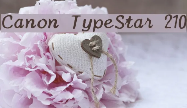 Canon TypeStar 210 Example 1