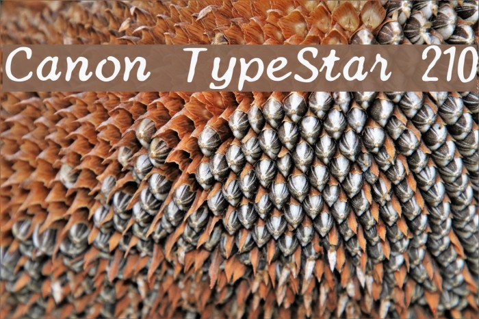 Canon TypeStar 210 Font examples