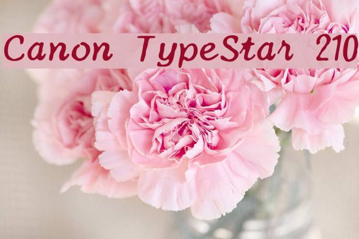 Canon TypeStar 210 Font examples