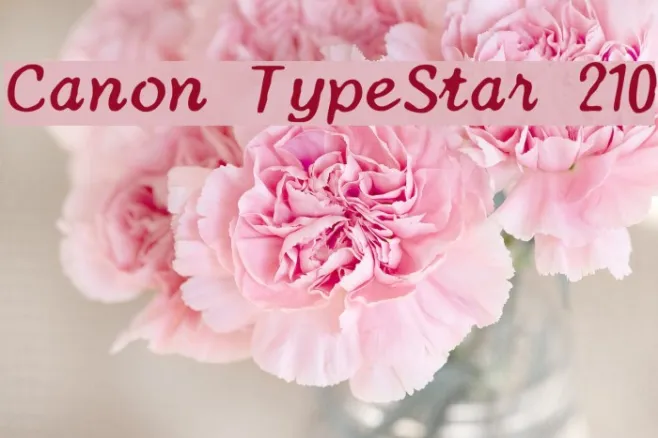 Canon TypeStar 210 Example 3