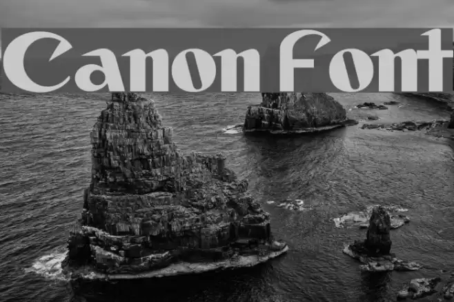 Canon フォント examples